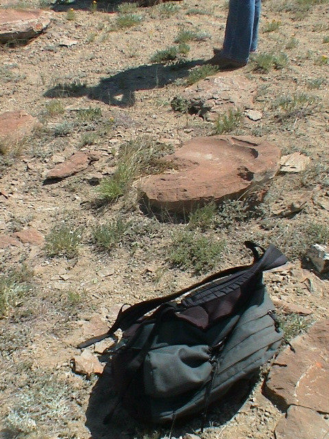 DSC00017.JPG