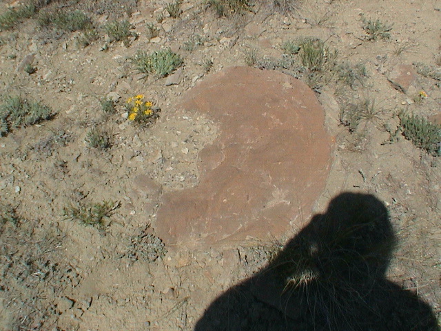 DSC00022.JPG