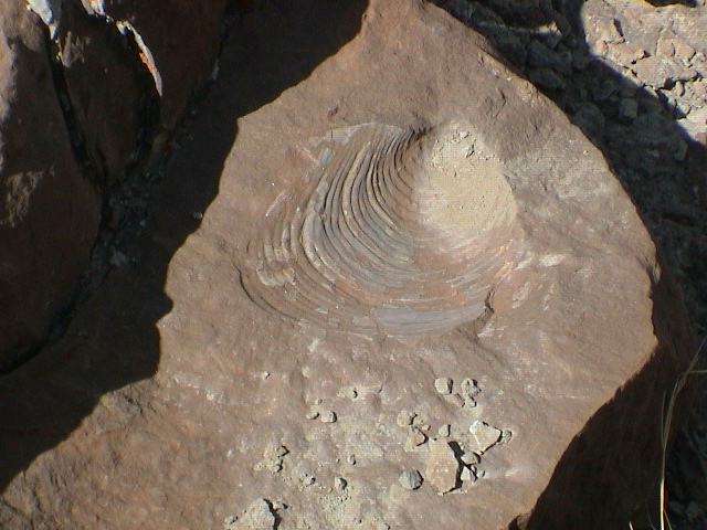DSC00029.JPG