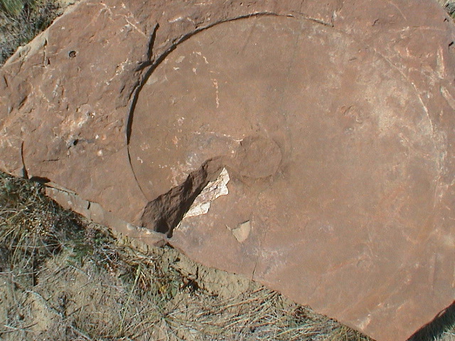DSC00034.JPG