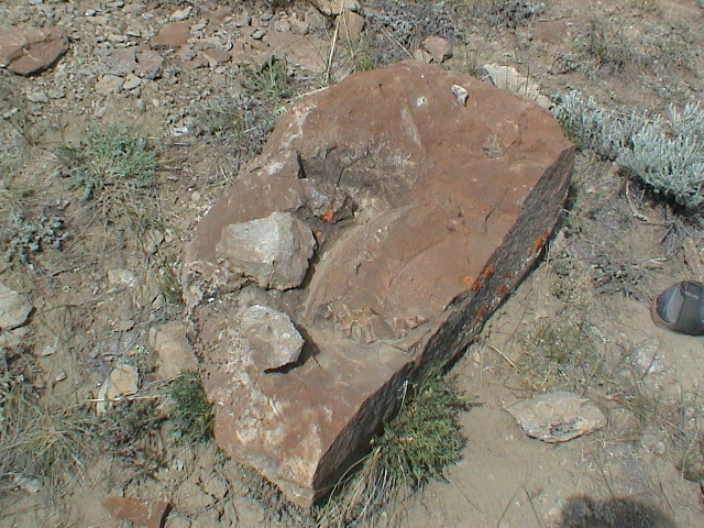 DSC00037.JPG