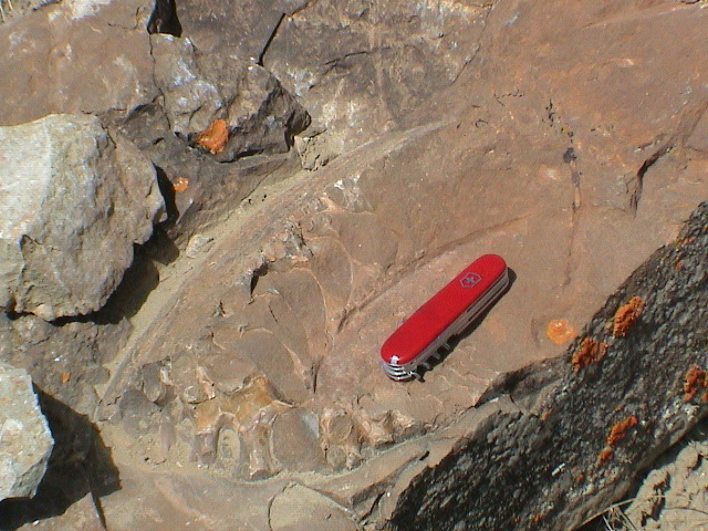 DSC00038.JPG