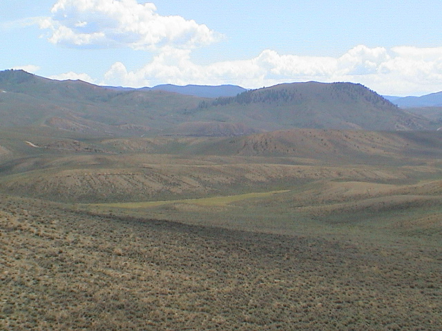 DSC00040.JPG
