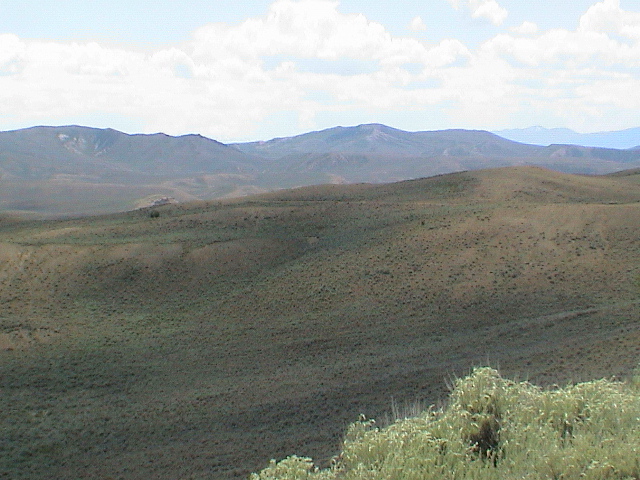 DSC00043.JPG