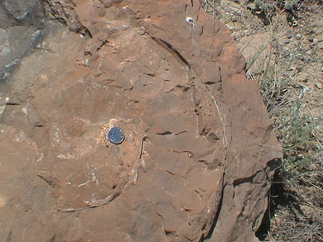DSC00045.JPG