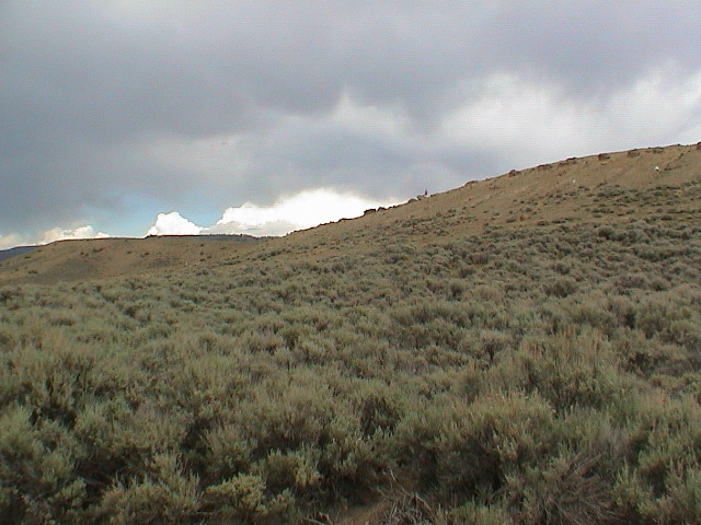 DSC00054.JPG
