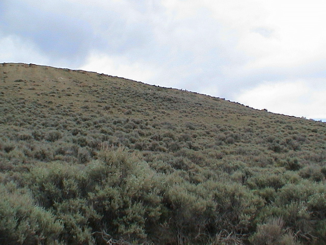 DSC00055.JPG