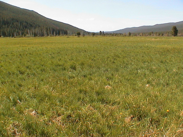 DSC00064.JPG