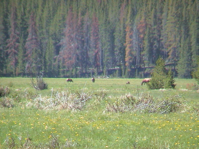 DSC00065.JPG