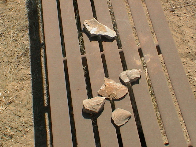 DSC00011.JPG