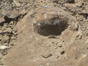 DSC00013.JPG