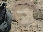 DSC00016.JPG