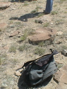 DSC00017.JPG