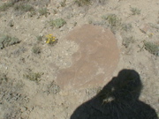 DSC00022.JPG