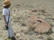 DSC00023.JPG