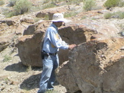 DSC00028.JPG
