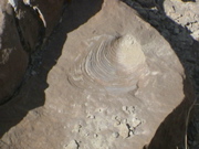 DSC00029.JPG