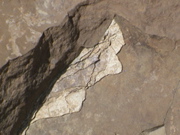 DSC00033.JPG