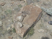 DSC00037.JPG