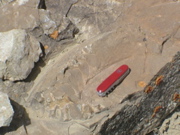 DSC00038.JPG