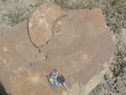 DSC00039.JPG