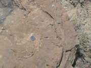 DSC00045.JPG