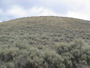 DSC00053.JPG