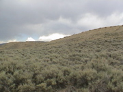 DSC00054.JPG