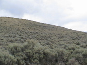 DSC00055.JPG