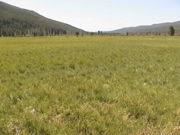 DSC00064.JPG