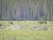 DSC00065.JPG