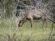 DSC00071.JPG