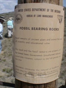DSC00009.JPG