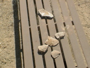 DSC00011.JPG