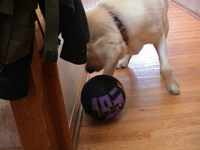 Helix Loves His New Ball