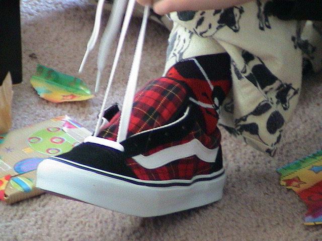Plaid Vans