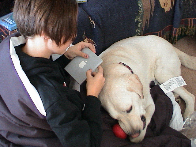 Emma, Apple, Helix