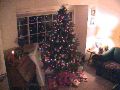 Xmas Eve Tree