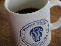 Must Have Coffee