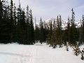 The Solitary Trail