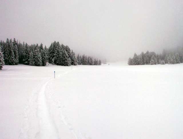The trail disappears in the distance