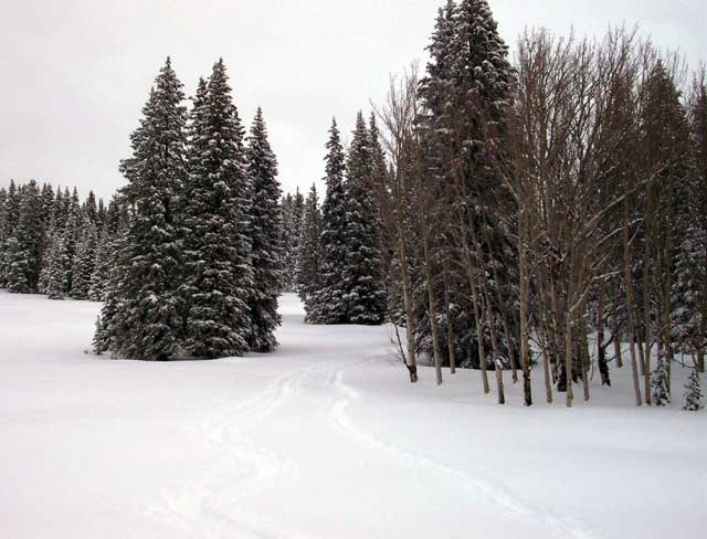 Ski and Snow Shoe trails